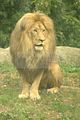 leipzig zoo-01_07_2011_zoo_allgemein_249